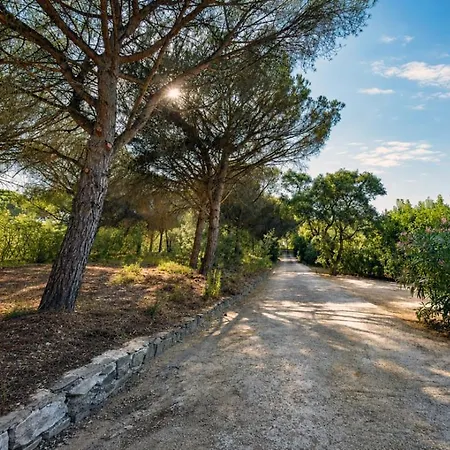Villa Provence Moderne, Vue Mer, Piscine, A Pied - St Tropez 9 K