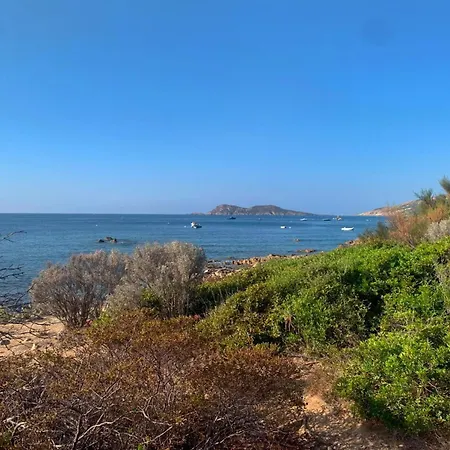 Provence Moderne, Vue Mer, Piscine, A Pied - St Tropez 9 K *